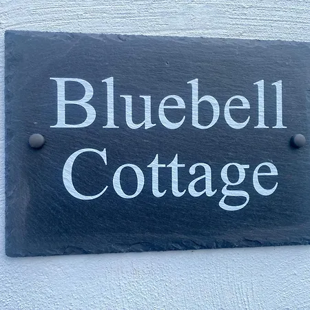 Bluebell * 塞尔比