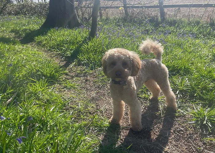 Bluebell Semesterbostad